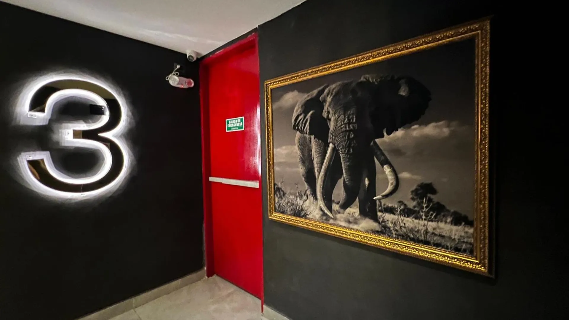 Hotel Zelva Poblado Medellín